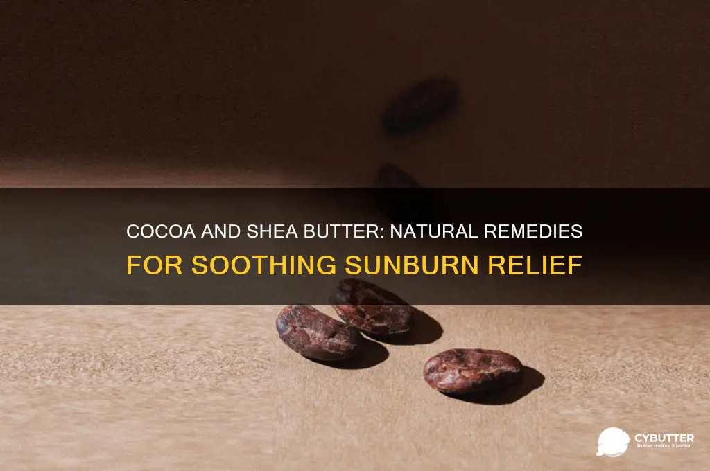 is cocoa and shea butter good for sunburn