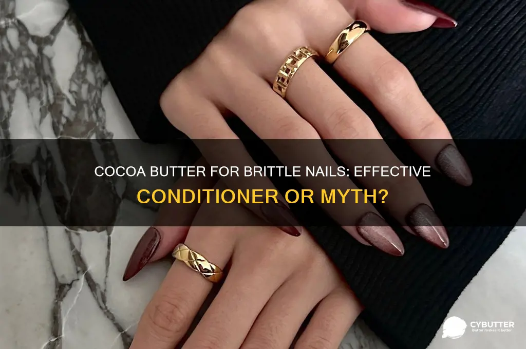 is cocoa butter a good conditioner for brittle nails