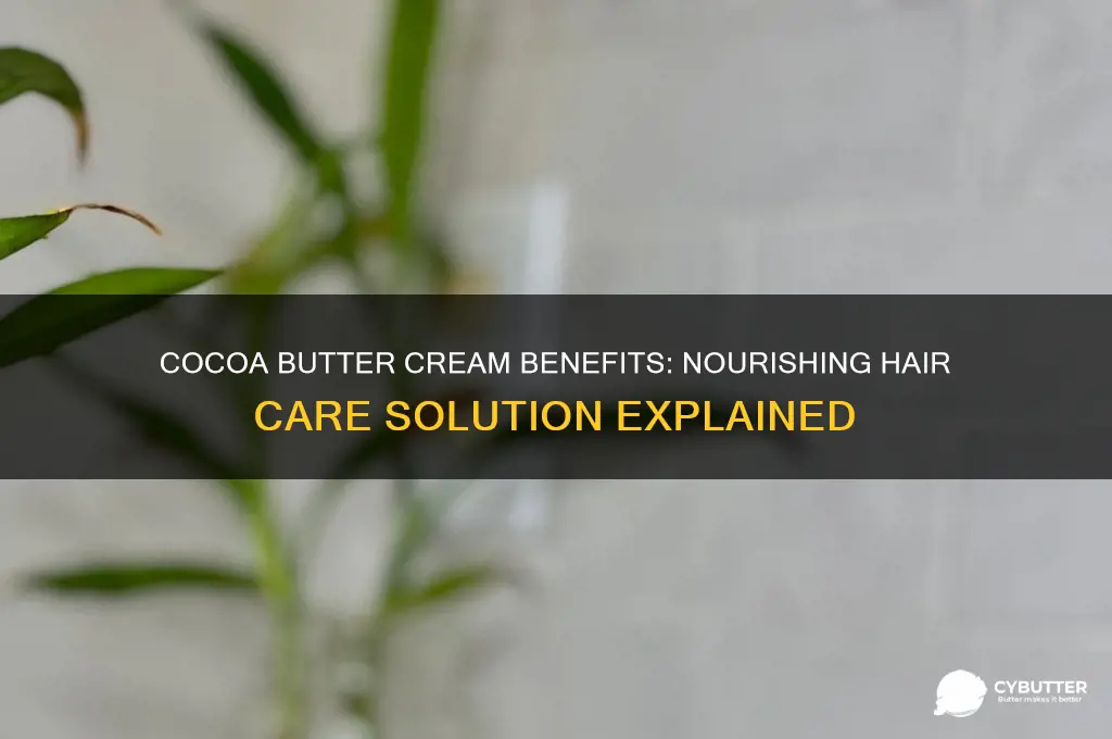 is cocoa butter cream good for hair