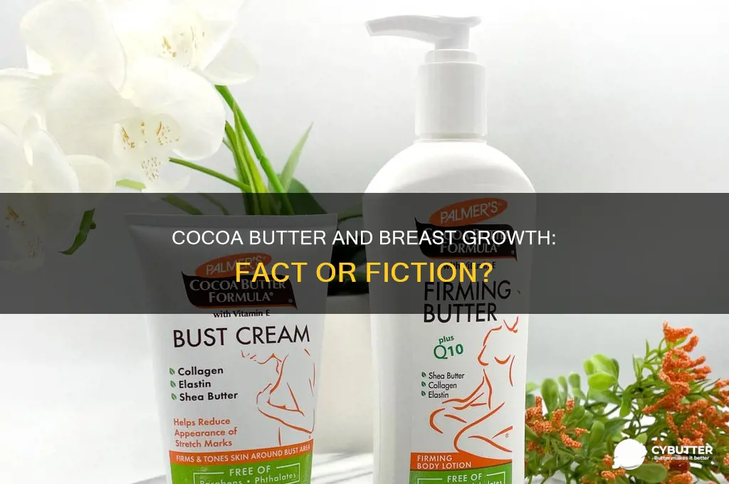 is cocoa butter good for breast growth