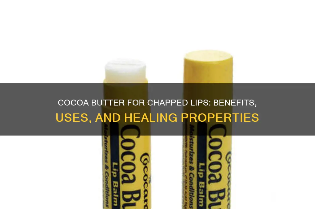 is cocoa butter good for chapped lips