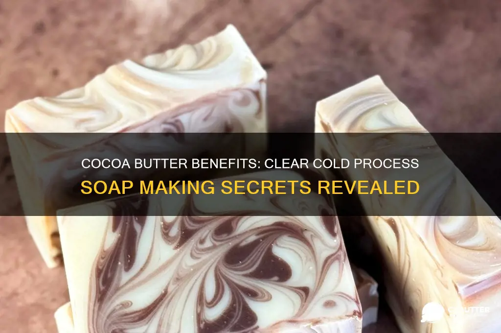 is cocoa butter good for clear cold process soap