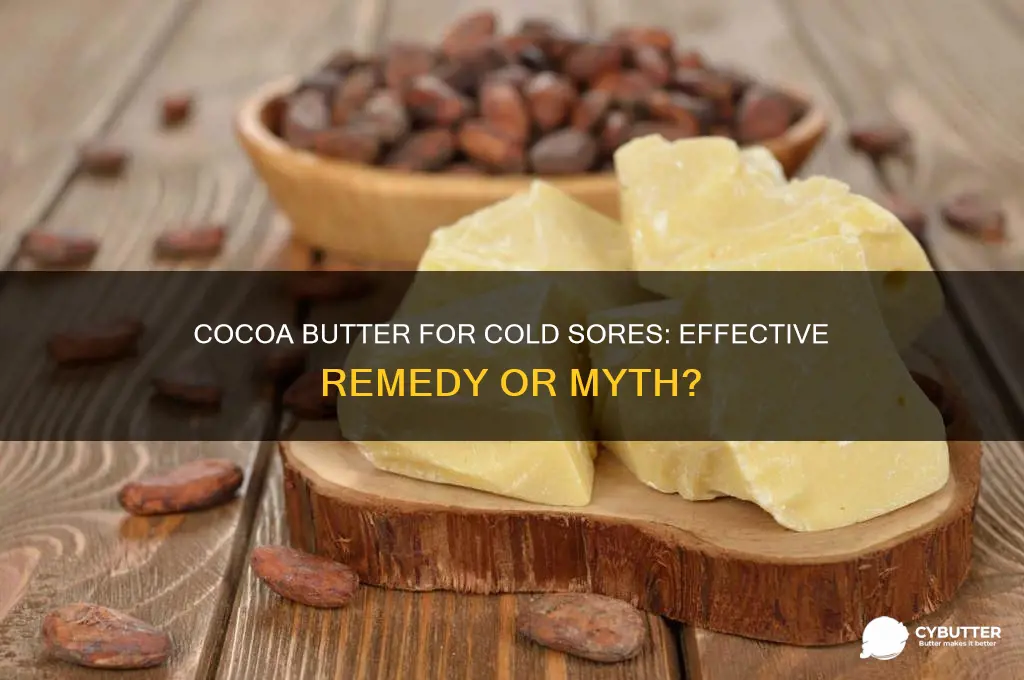 is cocoa butter good for cold sores