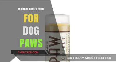 Cocoa Butter for Dog Paws: Benefits, Safety, and Application Tips