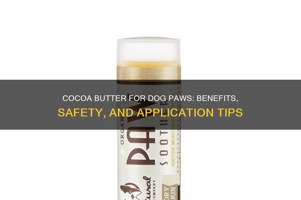 is cocoa butter good for dog paws