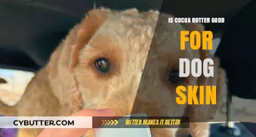Cocoa Butter for Dogs: Benefits and Safety for Canine Skin Care