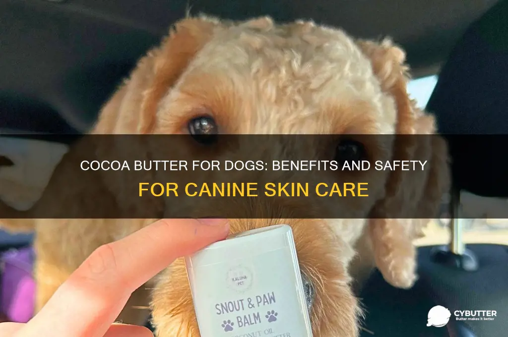 is cocoa butter good for dog skin