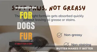 Can Cocoa Butter Safely Enhance Your Dog's Fur Health?