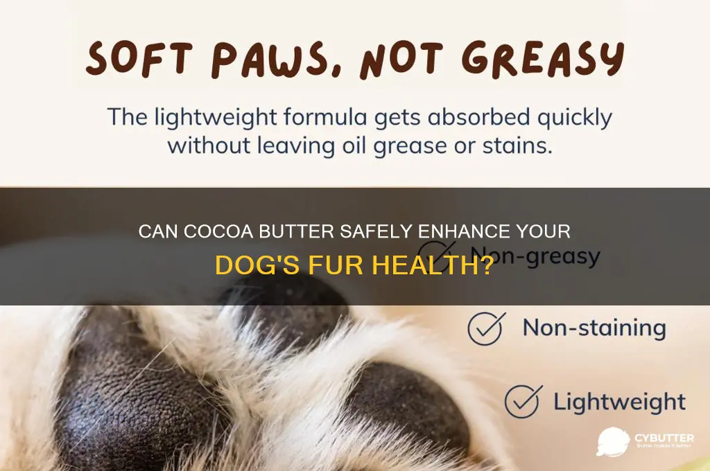 is cocoa butter good for dogs fur