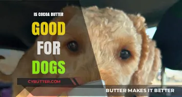 Is Cocoa Butter Safe for Dogs? Benefits and Risks Explained