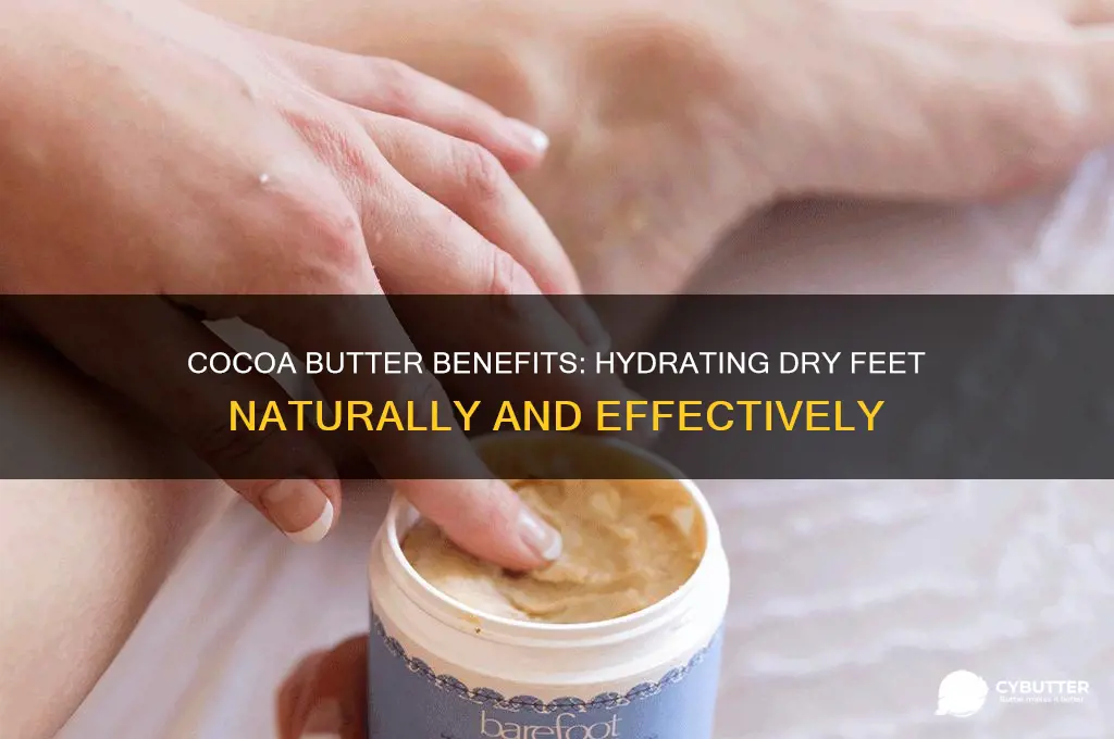 is cocoa butter good for dry feet