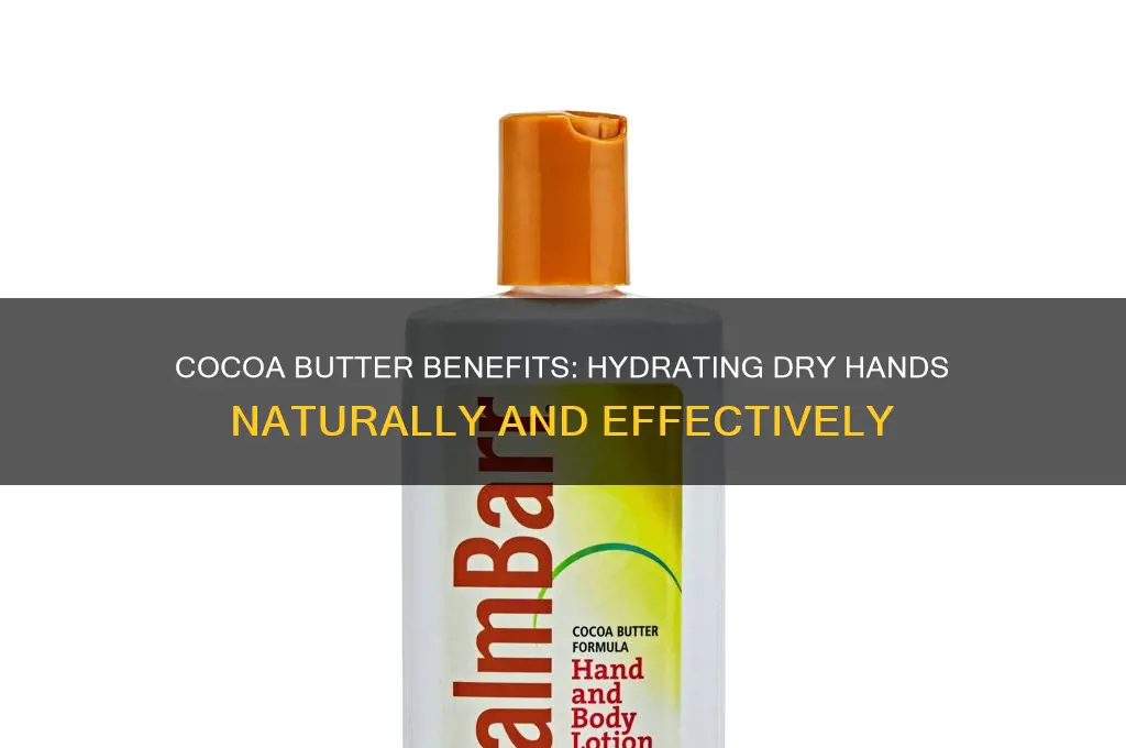 is cocoa butter good for dry hands