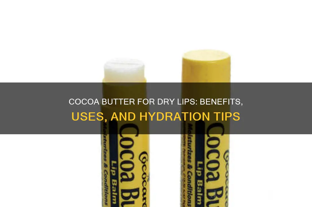 is cocoa butter good for dry lips