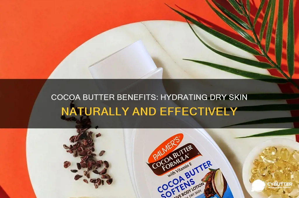 is cocoa butter good for dry skin