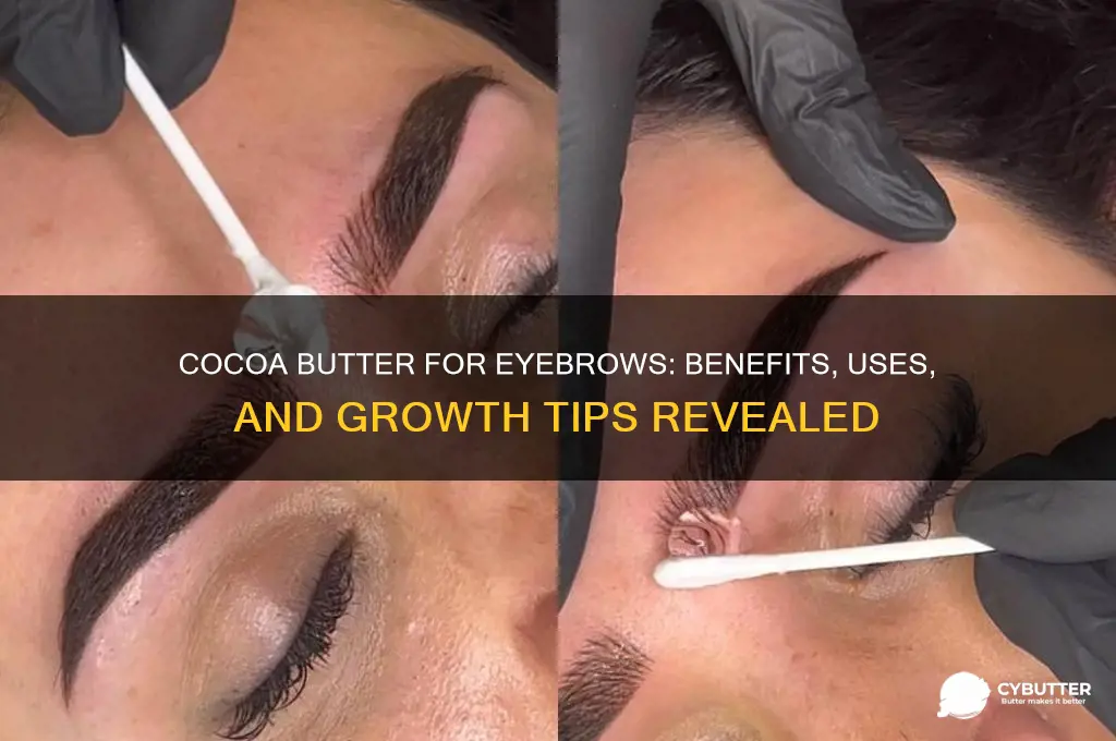 is cocoa butter good for eyebrows