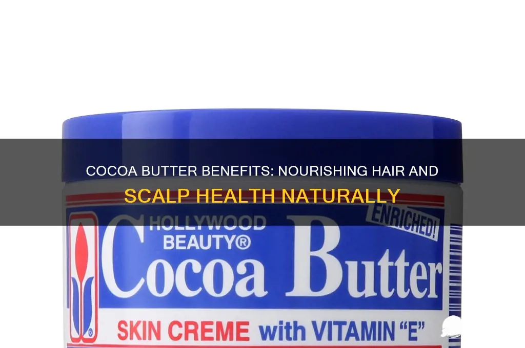 is cocoa butter good for hair and scalp