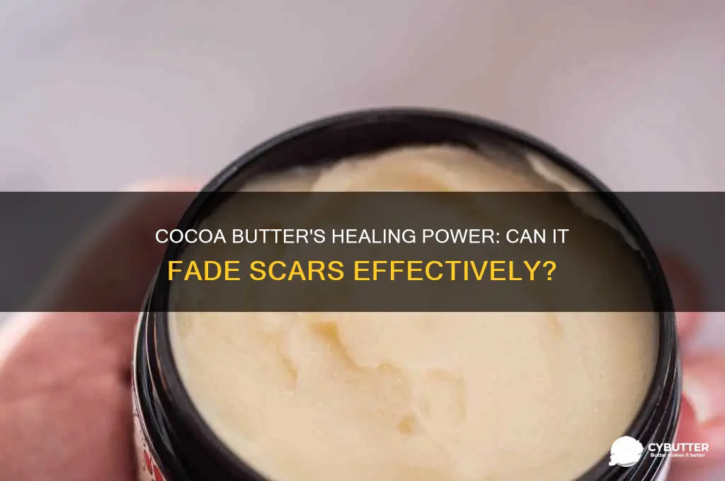 is cocoa butter good for healing scars