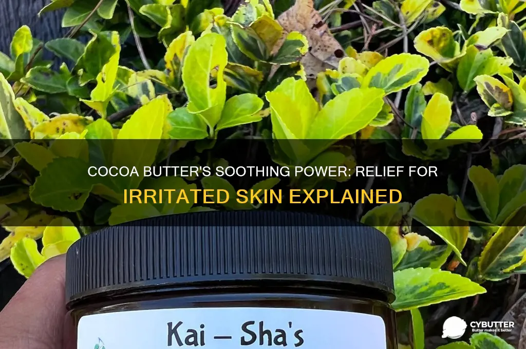 is cocoa butter good for irritated skin