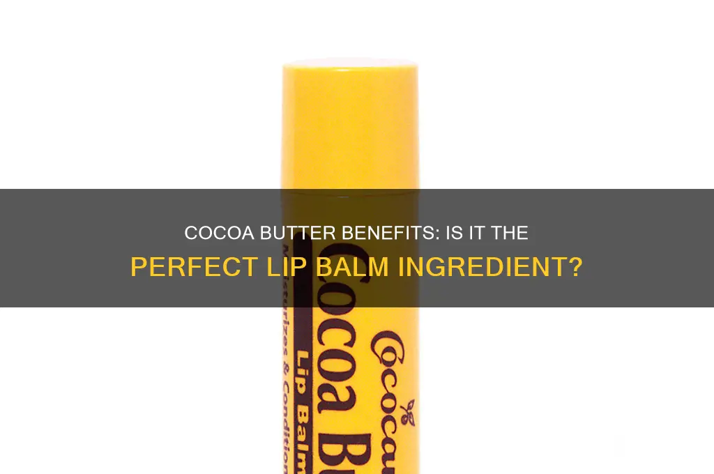 is cocoa butter good for lip balm