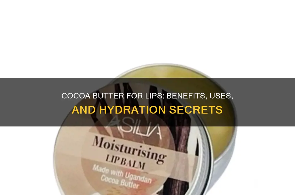 is cocoa butter good for lips