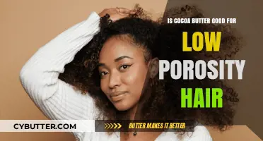 Cocoa Butter Benefits: Hydrating Low Porosity Hair Effectively