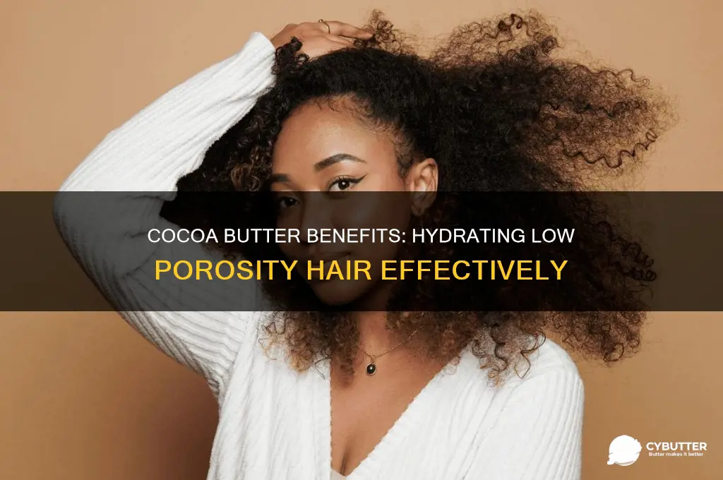 is cocoa butter good for low porosity hair