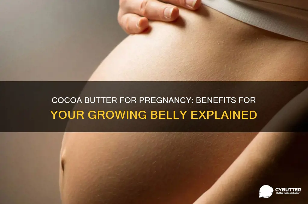 is cocoa butter good for pregnant belly