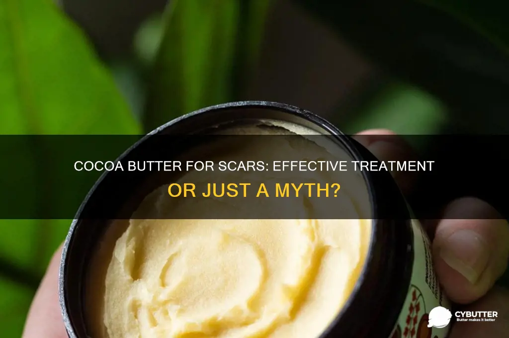 is cocoa butter good for scars