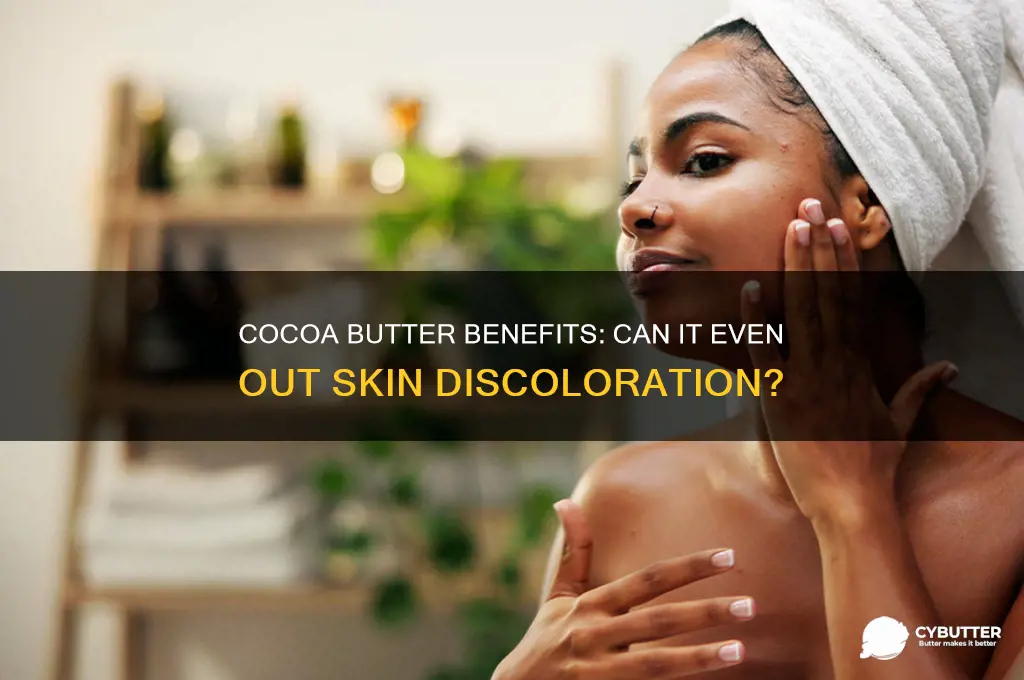 is cocoa butter good for skin discoloration