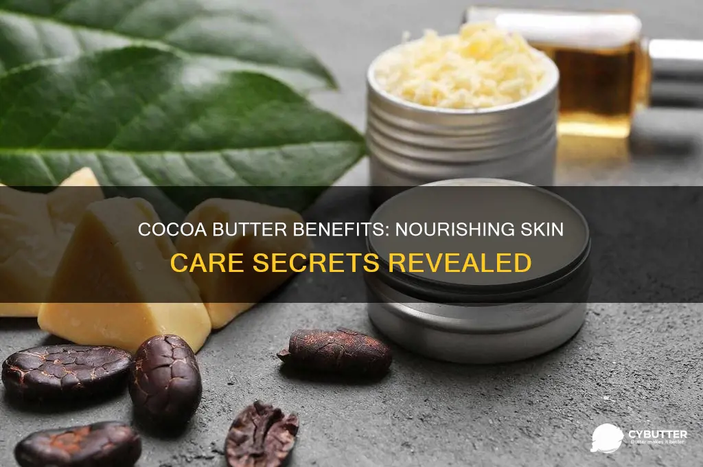 is cocoa butter good for skin