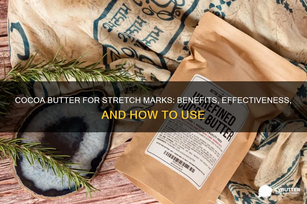 is cocoa butter good for stretch marks