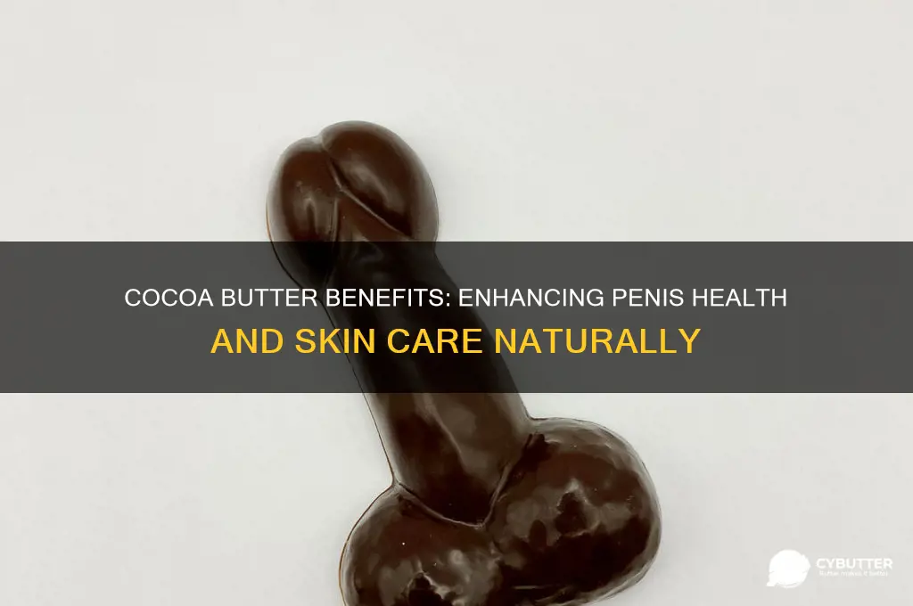 is cocoa butter good for your penis