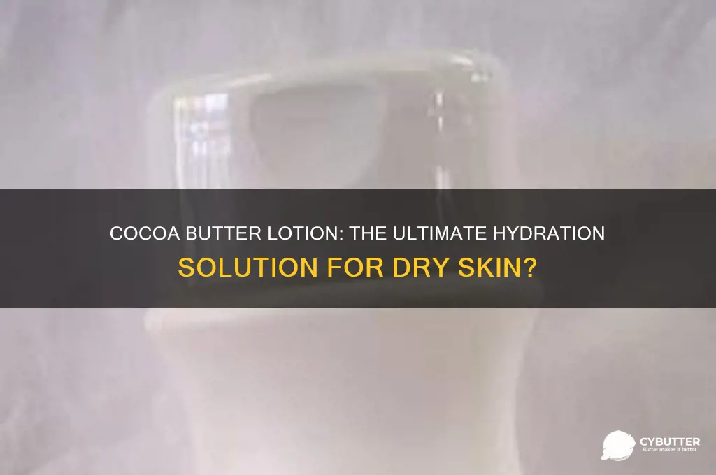 is cocoa butter lotion good for dry skin