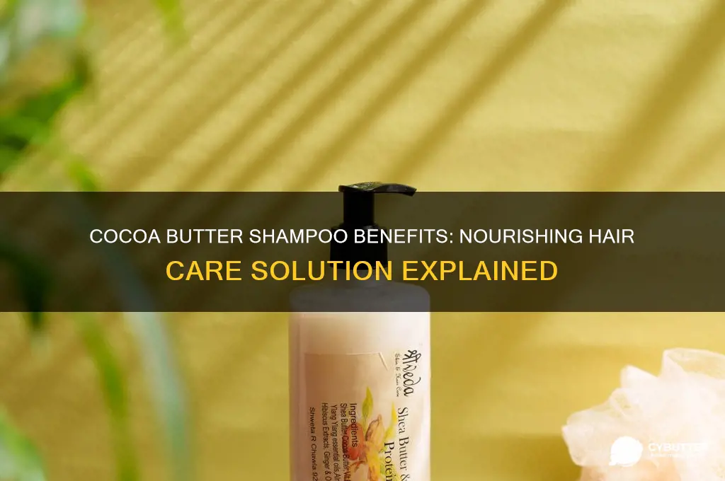 is cocoa butter shampoo good for hair