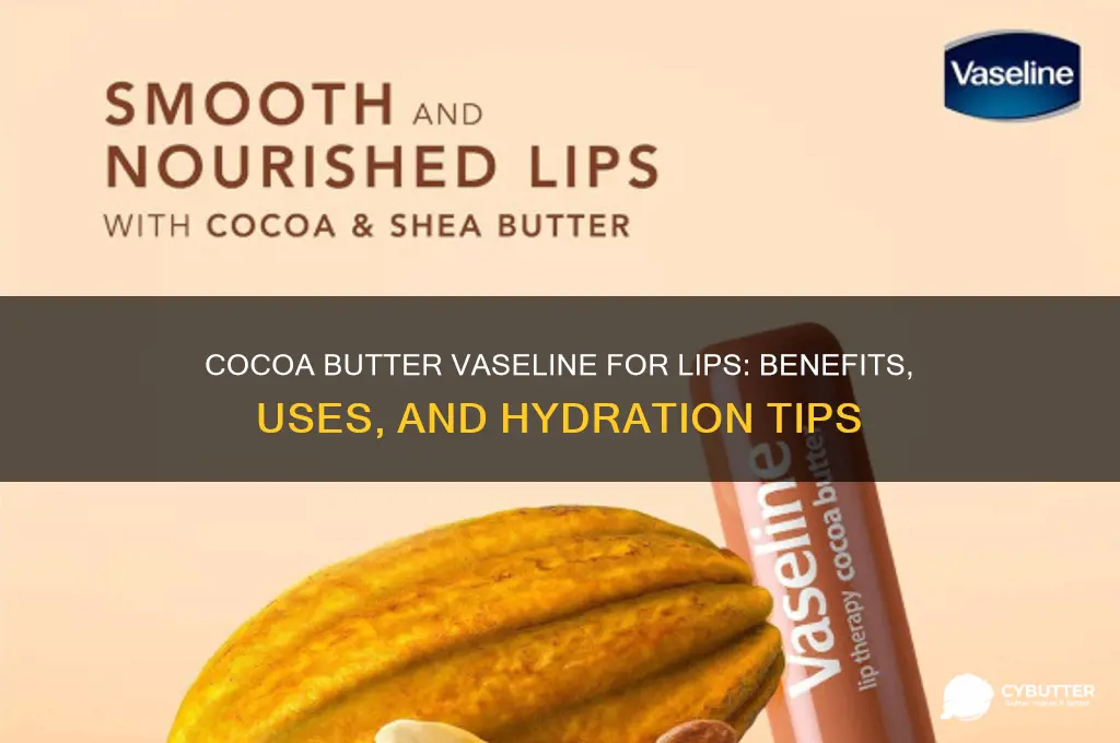 is cocoa butter vaseline good for lips