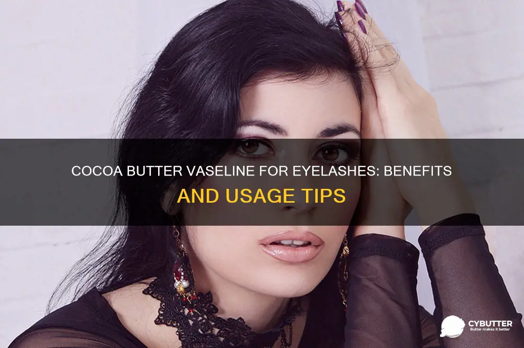 is cocoa butter vaseline good for your eyelashes