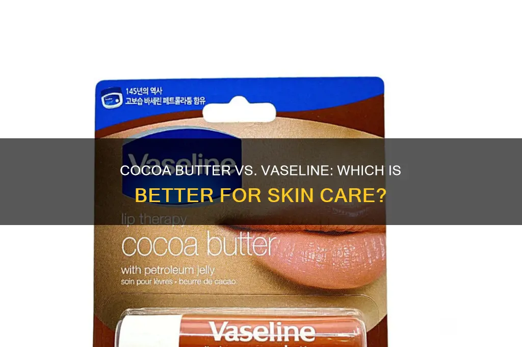 is cocoa butter vaseline good for your skin