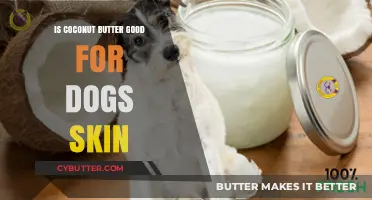 Coconut Butter Benefits: Can It Improve Your Dog's Skin Health?