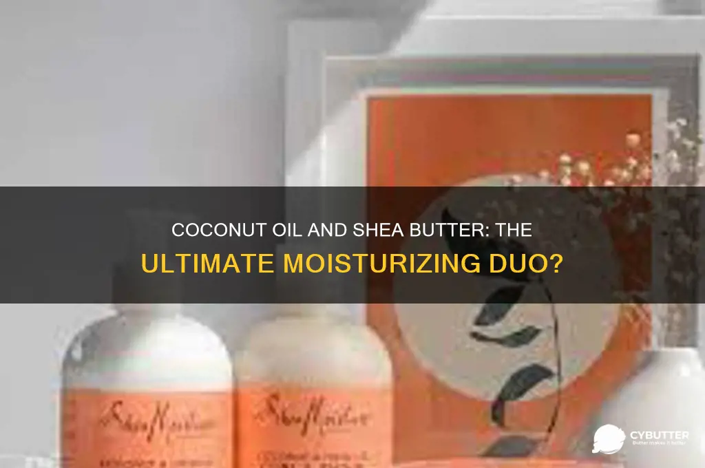 is coconut oil and shea butter a good moisturiser