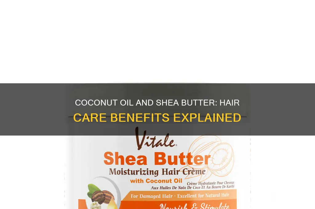 is coconut oil and shea butter good for your hair