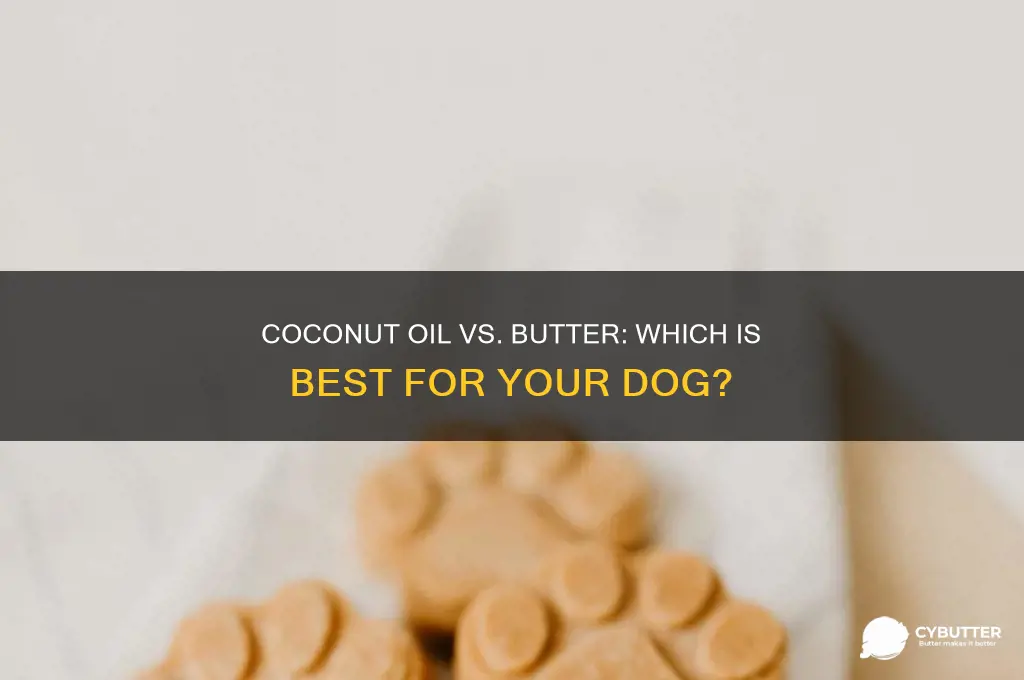 is coconut oil or coconut butter good for my dog