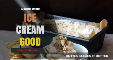 Is Cookie Butter Ice Cream Worth the Hype? A Sweet Review