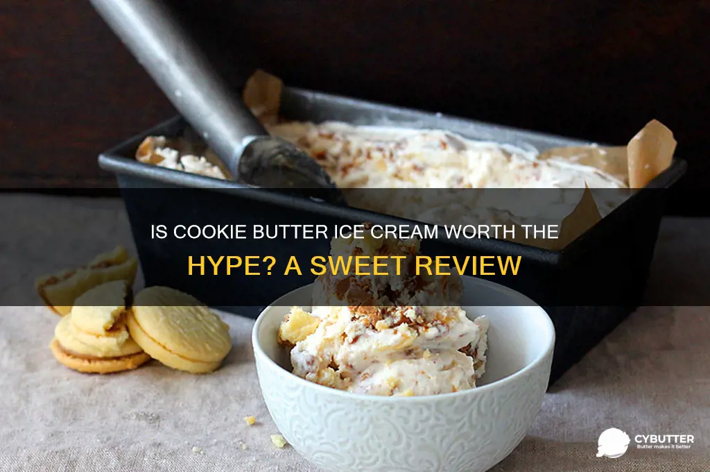 is cookie butter ice cream good