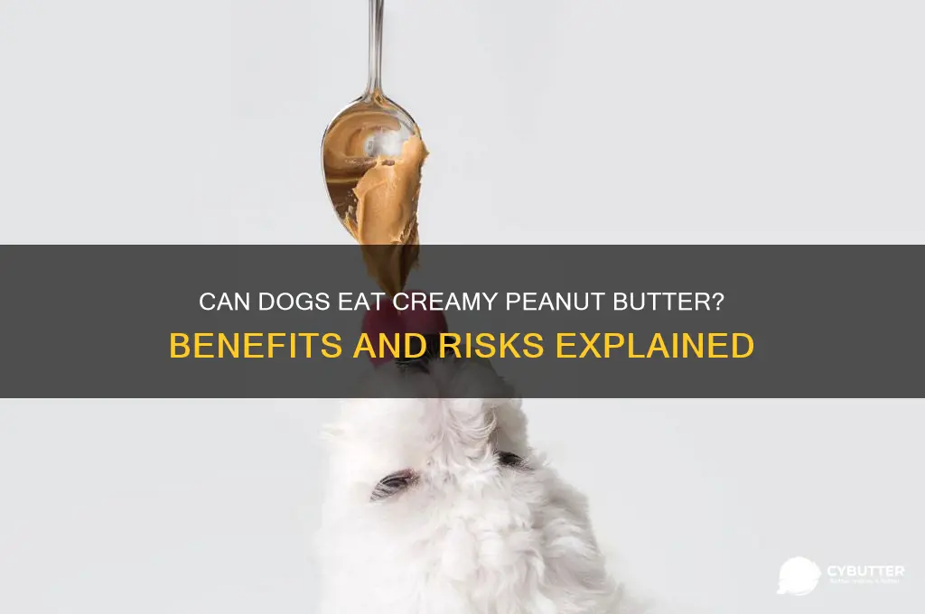 is creamy peanut butter good for dogs