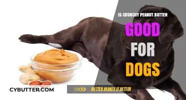 Can Dogs Eat Crunchy Peanut Butter? A Healthy Snack Guide