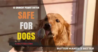 Can Dogs Enjoy Crunchy Peanut Butter Safely?