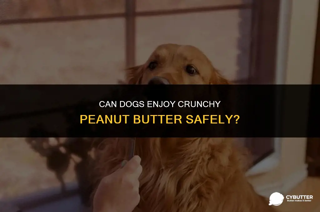 is crunchy peanut butter safe for dogs
