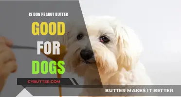 Is Dog Peanut Butter Safe and Healthy for Your Canine?