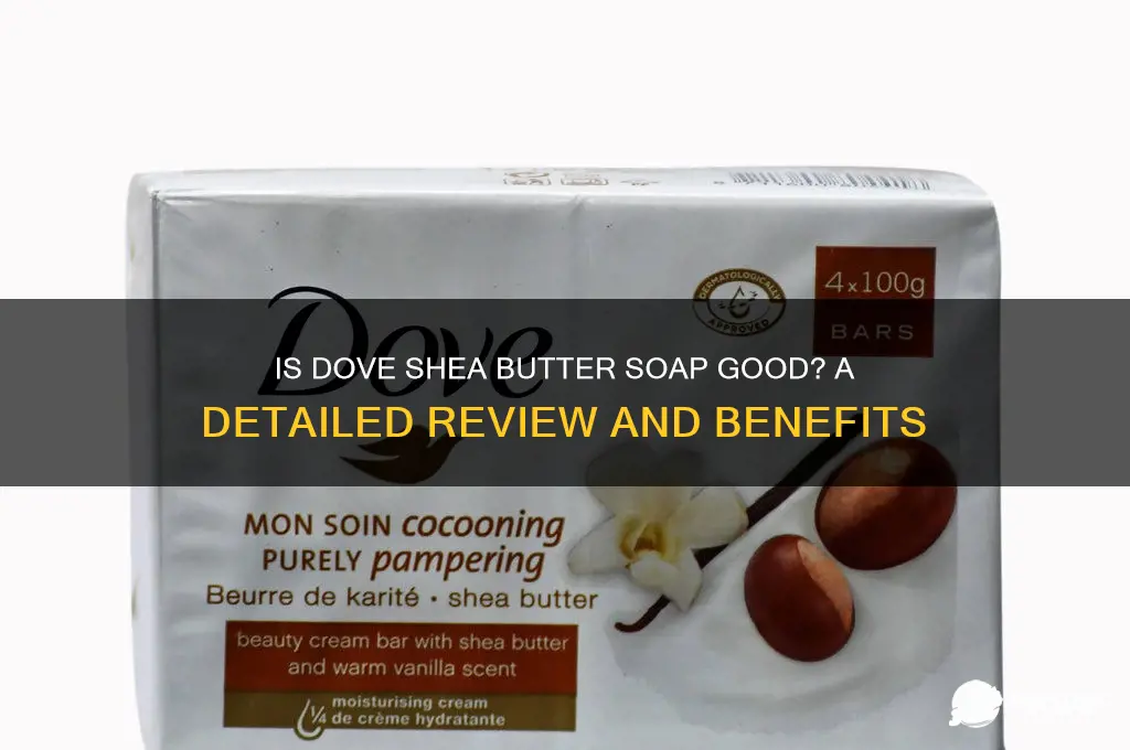 is dove shea butter soap good