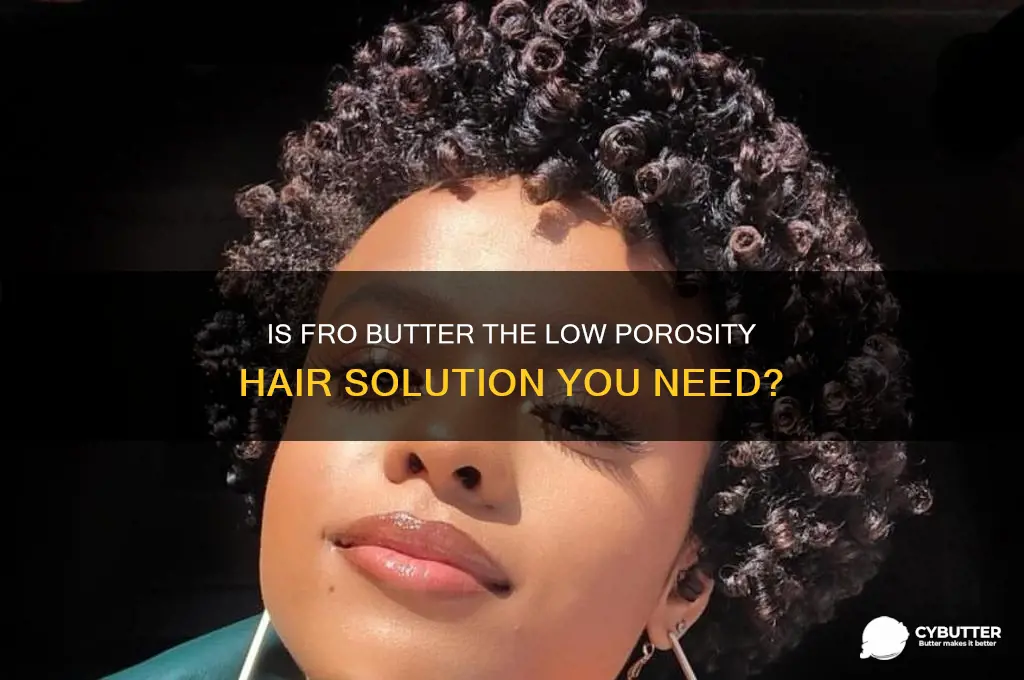 is fro butter good for low porosity hair